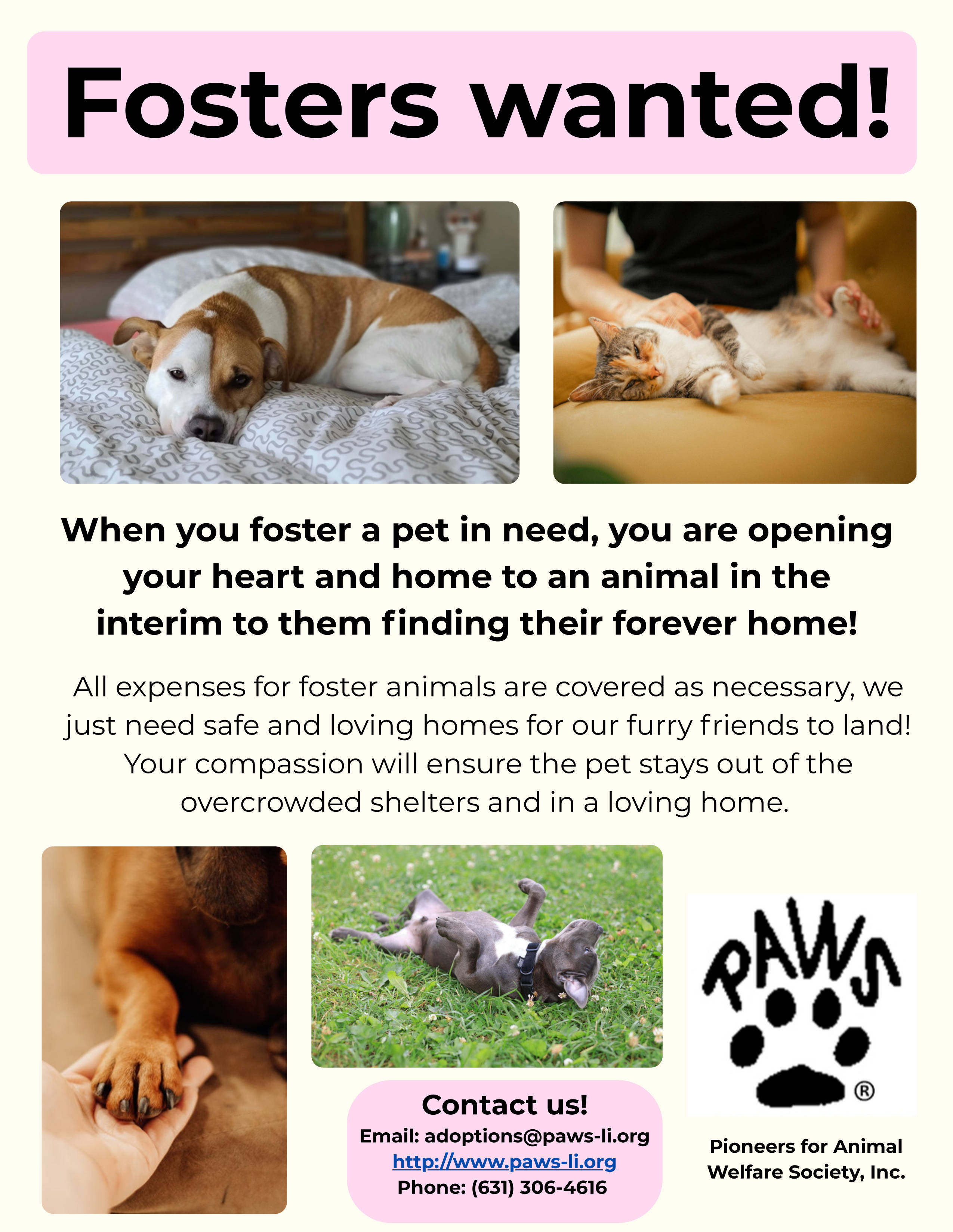 Help us save animals and foster! Fill out an application.